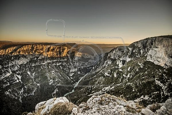 _DSC3117