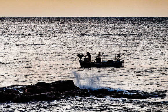 PLG_3907-2 2