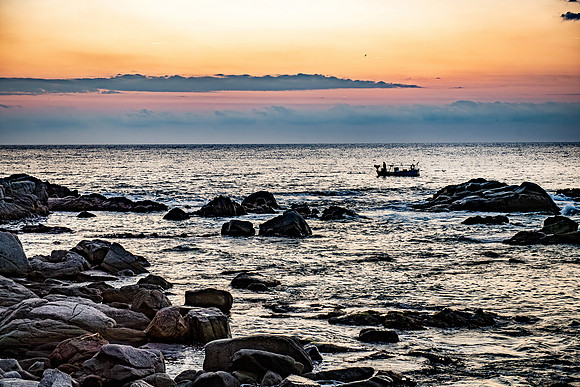 PLG_3928