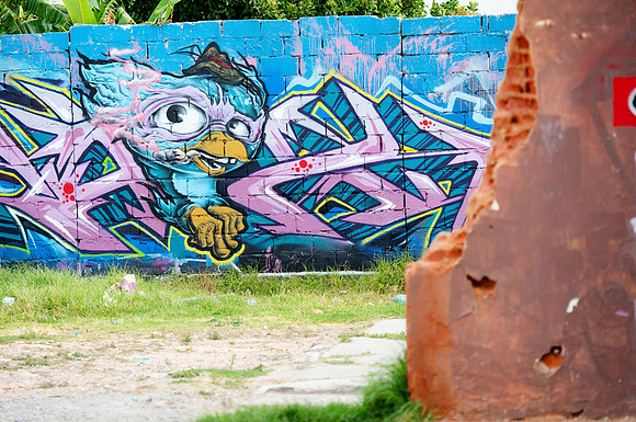 DSC_0460