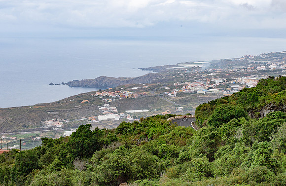 PLG_9758