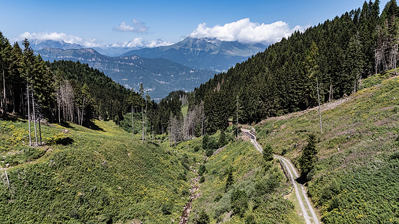 DJI_20260717120824_0263_D