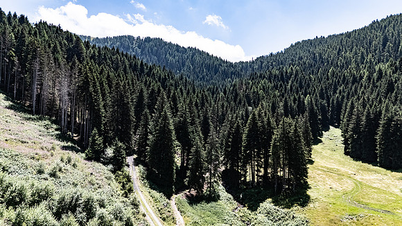 DJI_20260717120934_0266_D