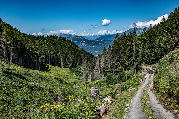 DSC_9457-2