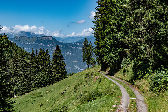 DSC_9468-2