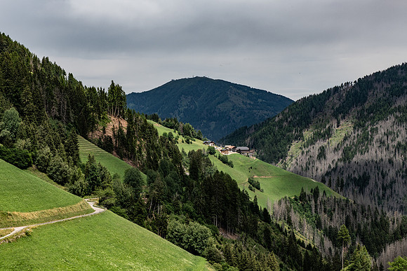 DSC_8671