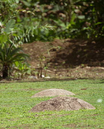 DSC_3890
