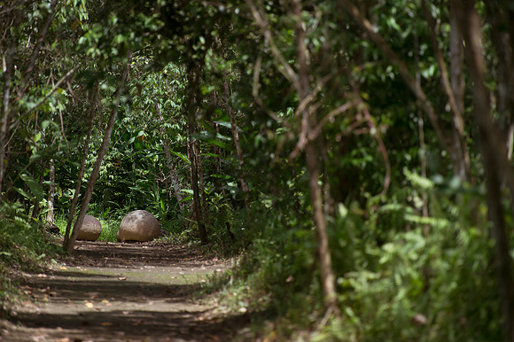 DSC_3931