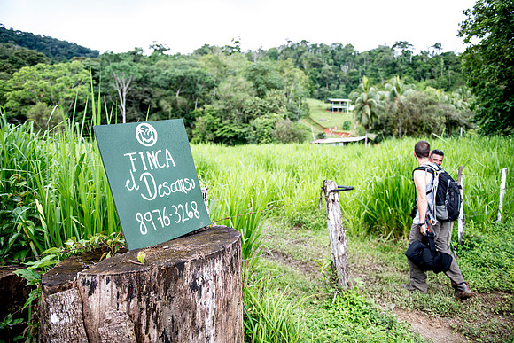 finca DSC_5189