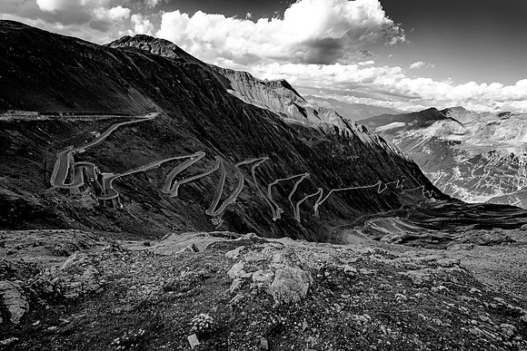 DSC_9741bw copy