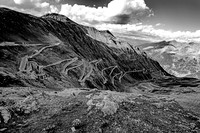 DSC_9741bw