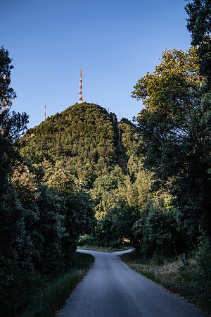 PLG_4362