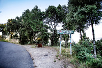 PLG_4370