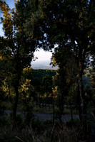 PLG_4454