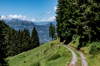 DSC_9468
