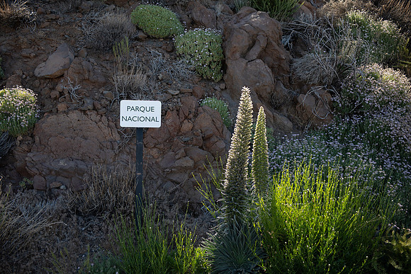 PLG_3092