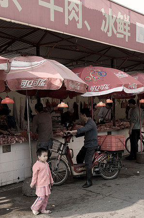china_zhuhai_PLG7299