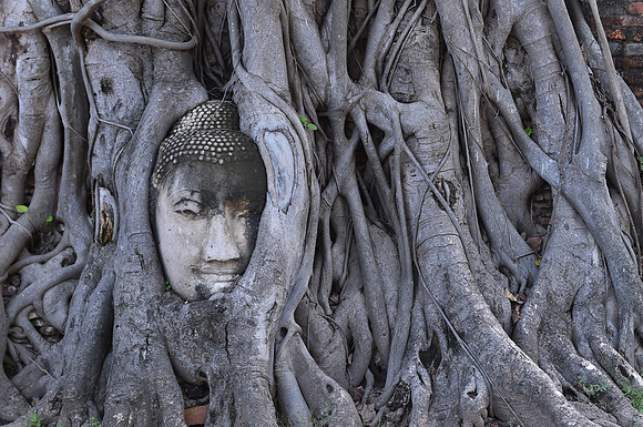DSC_1483