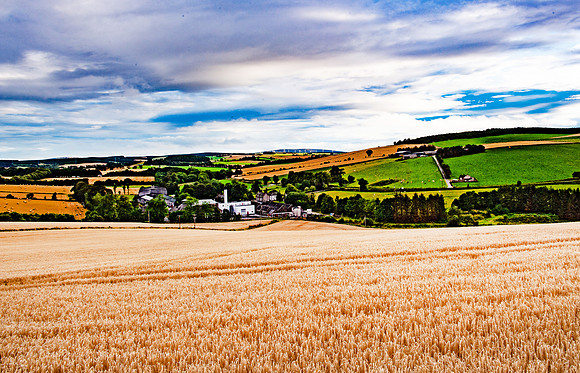 Ancnoc distilleryDSC_1607