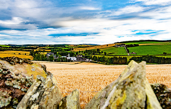 Ancnoc DistilleryDSC_1613