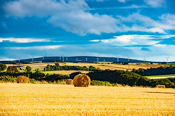 Barley and wind farms DSC_1676