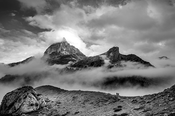 DSC_2799bw