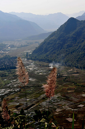 Hoa Binh Jungle paddy fields_PLG7914