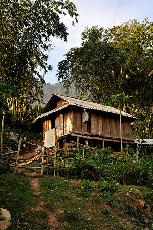 Hoa Binh Jungle_PLG7961