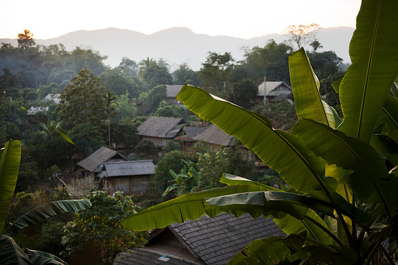 Hoa Binh Jungle_PLG8005