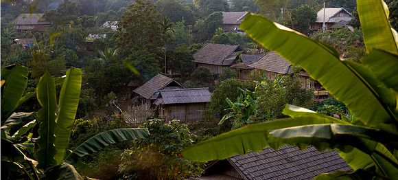 Hoa Binh Jungle_PLG8006