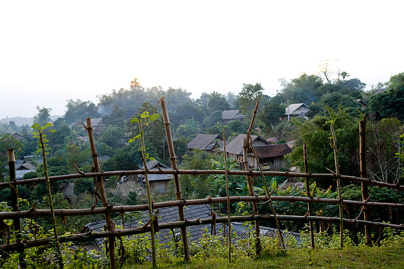 Hoa Binh Jungle_PLG8008