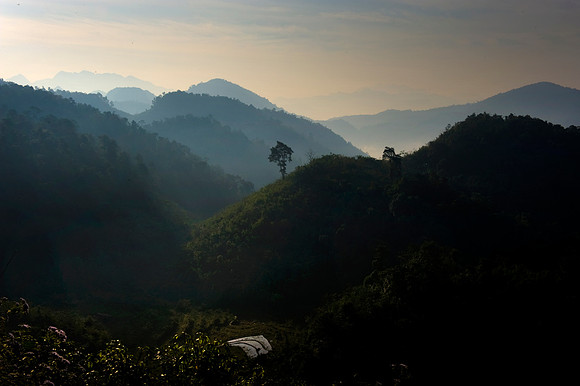 Hoa Binh Jungle_PLG8061