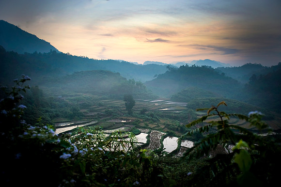 Hoa Binh Jungle:paddy field_PLG8040