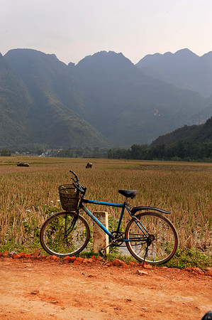 Hoa Binh Jungle:paddy fields_PLG8101