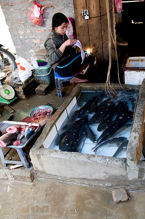 Hoa Binh Market_PLG8085
