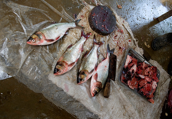 Hoa Binh Market_PLG8088