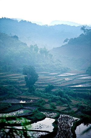 Hoa Binh paddy field_PLG8043