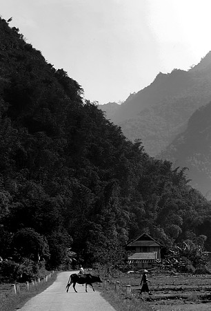 Hoa Binh paddy field_PLG8075