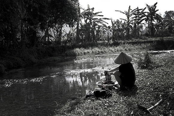 Hoa Binh paddy fields_PLG8078