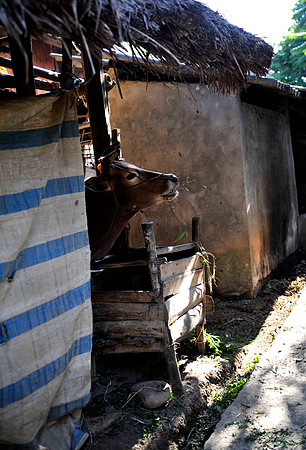 Homestay Hoa Binh Jungle_PLG7938
