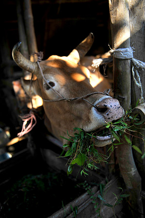 Homestay Hoa Binh Jungle_PLG7930