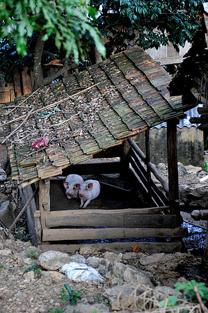 Homestay Hoa Binh Jungle_PLG7950