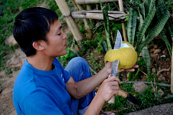Homestay Hoa Binh Jungle_PLG7954
