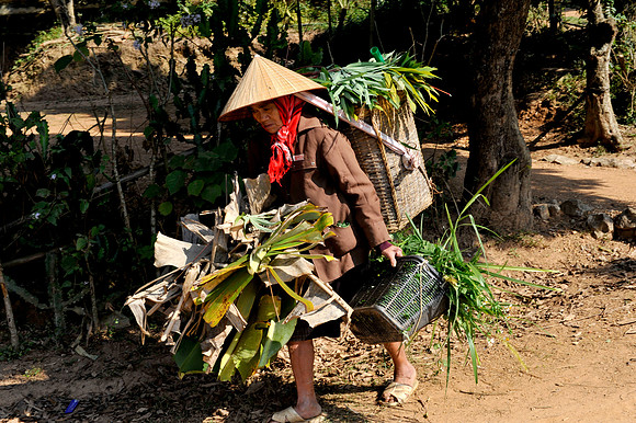 local Hoa Binh _PLG8072