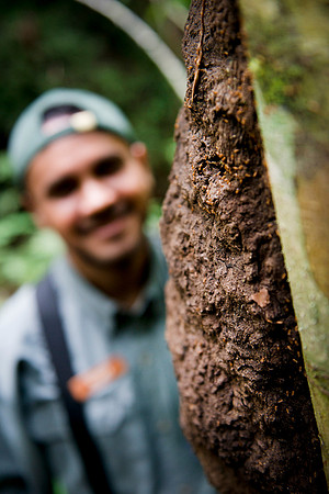 termites DSC_8137