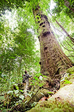 Osa Conservation DSC_6720