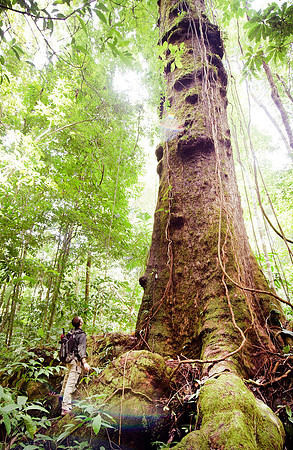 Osa Conservation DSC_6724