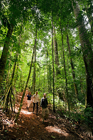 Osa Conservation DSC_6801
