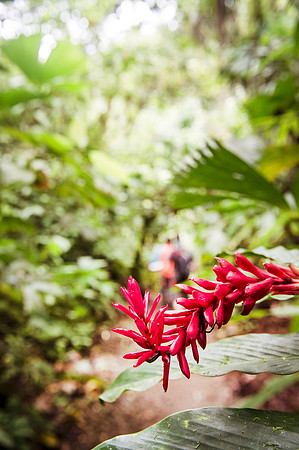 Oro Las Minas DSC_4955