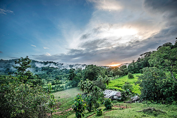 HomestayDSC_5535
